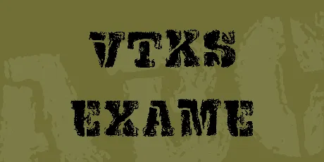 VTKS EXAME font