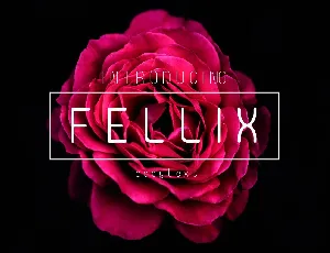 Fellix font