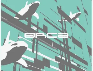 Orca Display font