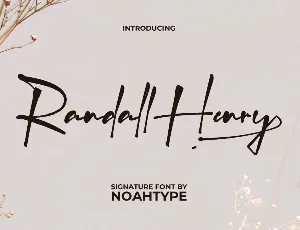Randall Henry Demo font