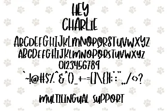 Hey Charlie font