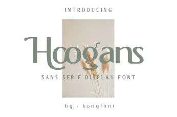 Hoogans font