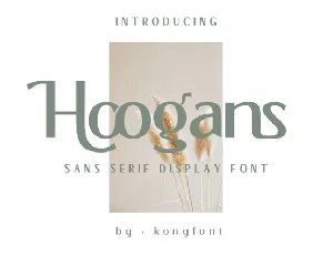 Hoogans font