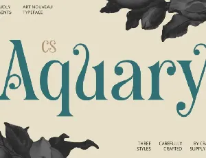 CS Aquary font