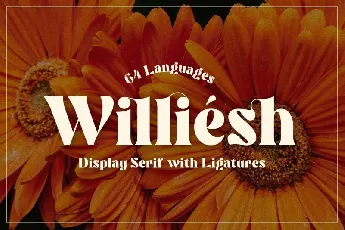 Williesh font