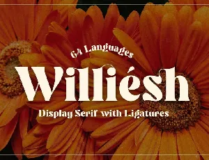 Williesh font