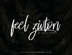 Feel Zivton Calligraphy Modern font