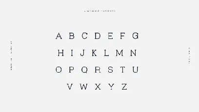 Virtuous Slab Typeface font