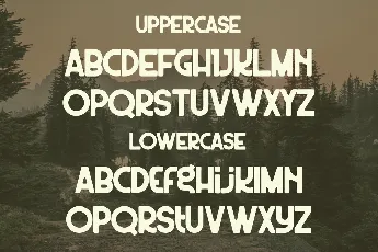 Wildest font