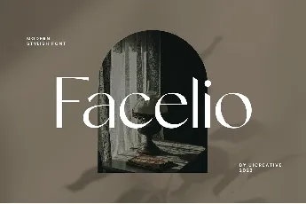 Facelio font