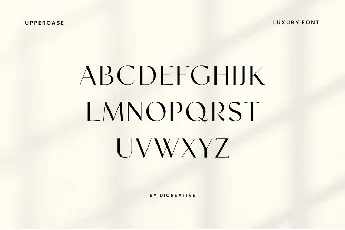 Facelio font