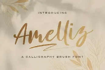 Amelliz Brush font