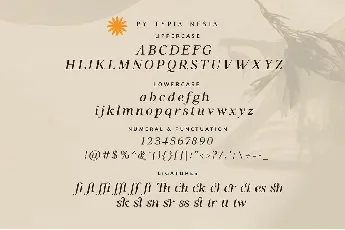 Bilsstwin font