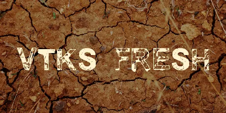 vtks fresh font