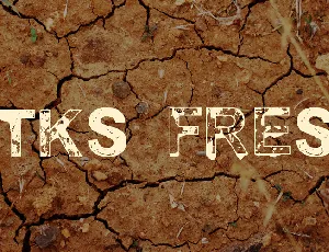 vtks fresh font