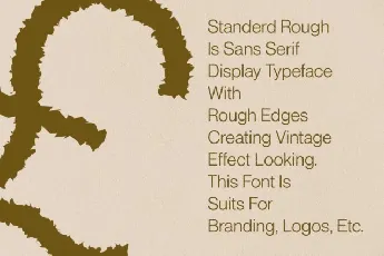 Standerd Rough font