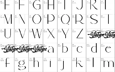 McAlester Demo font