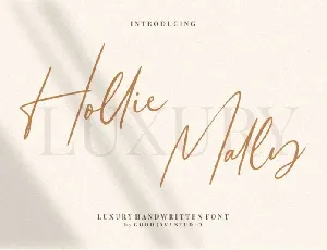 Hollie Mally font