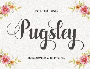 Pugsley Script font