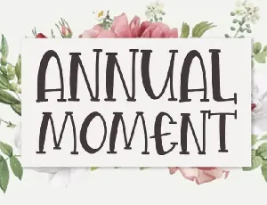 Annual Moment Display font