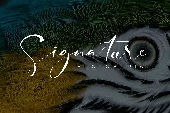 Signature Photopedia font