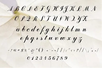 Angelina Free font