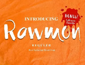 Rawmon demo font