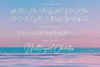 Tropical Harmony font