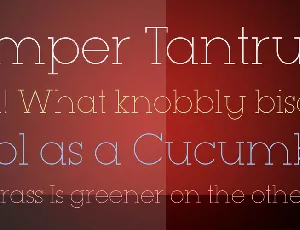 Typo GeoSlab Thin Demo font