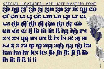 affiliate mastery demo font