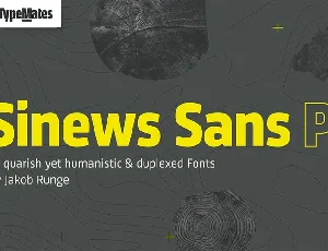 Sinews Sans Pro font