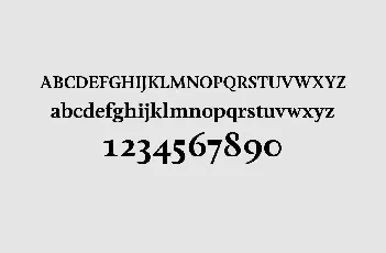 Feijoa font