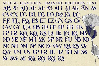 Daesang Brothers Demo font