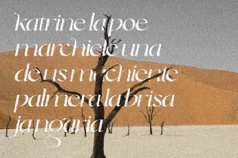 Dolce & Amyara font