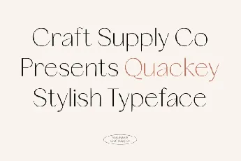 Quackey Sans Serif font