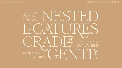 Acanthus Display font