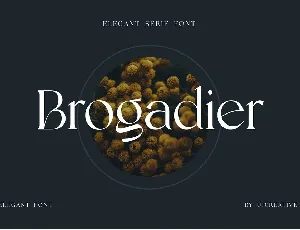 Brogadier font