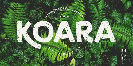 Koara Family font