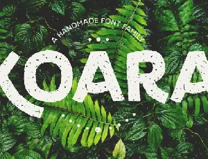 Koara Family font