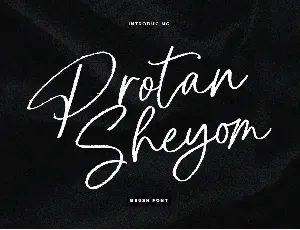 Protan Sheyom font