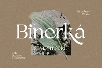 Bhinerka font