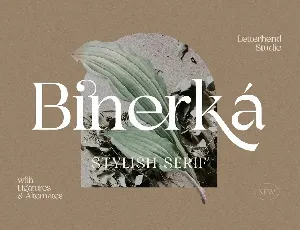 Bhinerka font