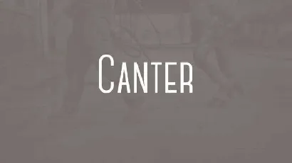 Canter Typeface Free font