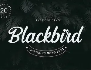 Blackbird Script font