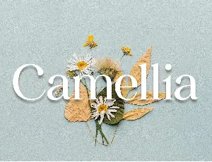 Camellia font