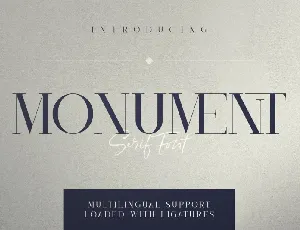 Monument Serif font