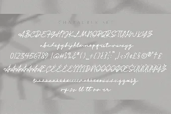 Athena Signature font