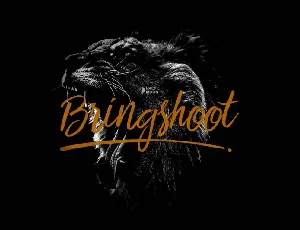 Bringshoot font