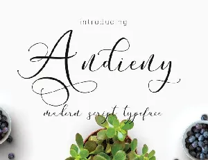 Andieny Script font