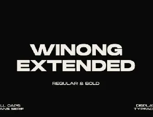 Winong Extended font